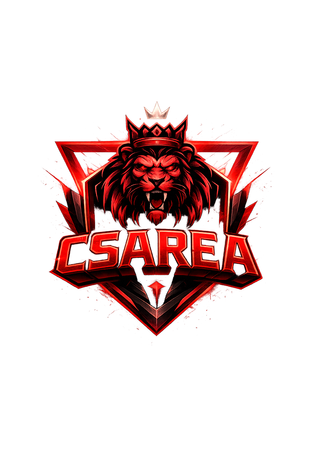CSAREA - Community